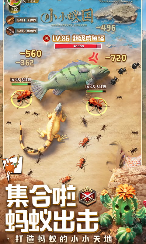 https://oss.wanqumeng.com/20250730132451556.png