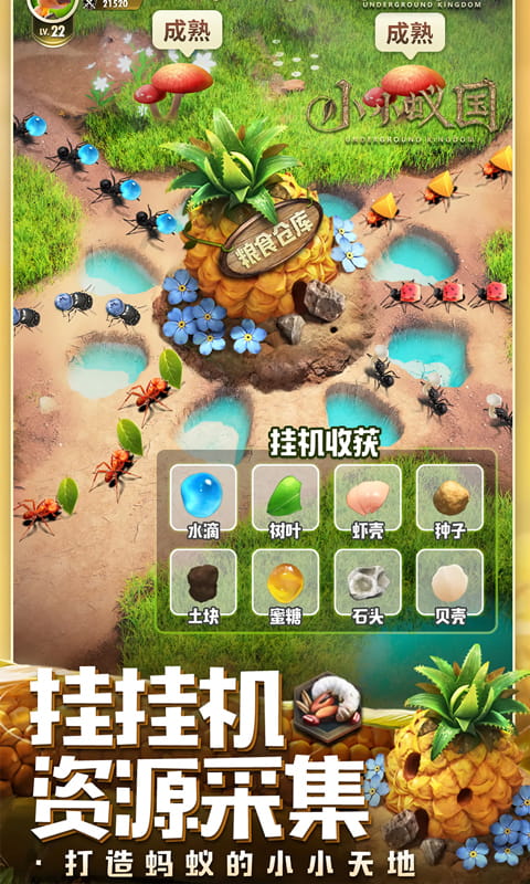 https://oss.wanqumeng.com/20250730132451930.png